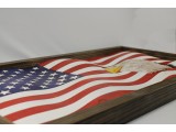3D Flag with Eagle