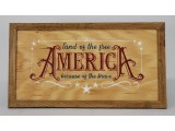 America Land of the Free
